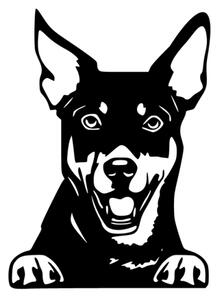 Samolepka pes Australská kelpie