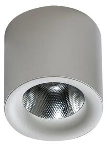 LED bodové světlo Mane 20W Dimm bílé