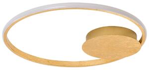 -25 % Dny MOMENTI– Zlaté kovové stropní LED světlo Nova Luce Fuline 50 cm
