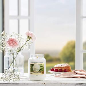 Yankee Candle vonná svíčka Classic ve skle velká Camellia Blossom 623 g