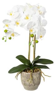 Umelá kvetina Orchidej bílá v květníku, 55cm