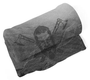 Sablio Deka Vikingové Stone - 150x120 cm