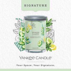 Yankee Candle vonná svíčka Signature Tumbler ve skle velká Cucumber Mint Cooler 567g