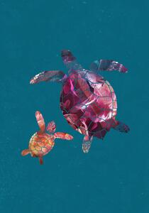Ilustrace Colourful Turtles, Sarah Manovski
