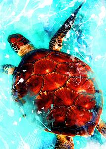 Ilustrace Tortoise animal art, Justyna Jaszke