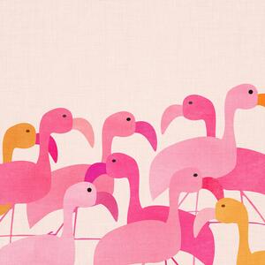 Ilustrace Flamingos, Kristian Gallagher