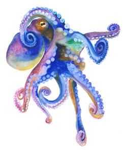 Ilustrace Blue Marine Octopuss, Isabelle Brent