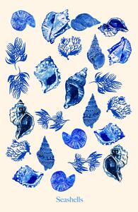 Ilustrace Seashells, Poster cartissi
