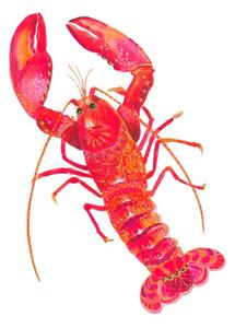 Ilustrace Patterned Lobster, Isabelle Brent