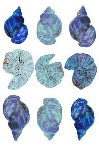 Ilustrace Blue Sea Shells, Poster cartissi