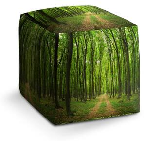Sablio Taburet Cube Cesta v lese - 40x40x40 cm