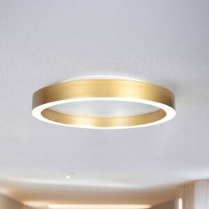 Steinhauer LED stropní svítidlo Ringlux zlaté, Ø 40 cm, kov, 2 700 K, stmívatelný, Mosaz / zlato, Obývací pokoj / jídelna, kov, Moderní