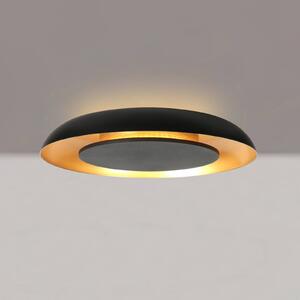 Steinhauer LED stropní svítidlo Golden Veil, černé/zlaté, stmívatelné, kovové, stmívatelný, Černá, Obývací pokoj / jídelna, kov, Moderní
