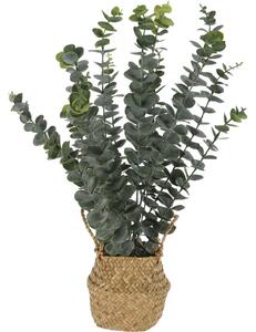 Umělá rostlina eukalyptu v košíku, 50 cm