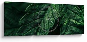 Obraz - Detail listu (s hodinami) (90x30 cm)