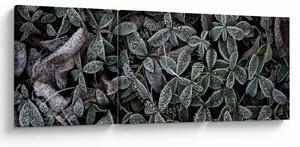 Obraz - Zmrzlé rostliny (s hodinami) (90x30 cm)