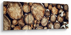 Obraz - Dřevo ve sněhu (s hodinami) (90x30 cm)