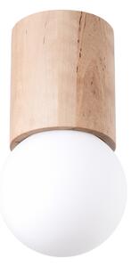 Sollux Lighting Stropní svítidlo BOOMO 12