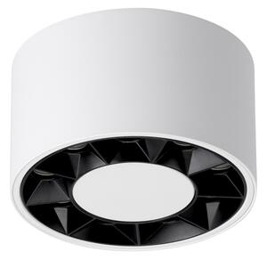 Stropní LED svítidlo Dio, 1x LED 10w, 4000k, w