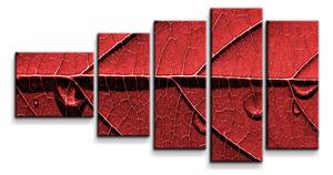 Sablio Obraz - 5-dílný Červený list - 100x60 cm