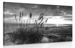 Obraz západ slunce na pláži v černobílém provedení - 120x80 cm