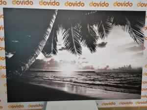 Obraz východ slunce na karibské pláži v černobílém provedení - 120x80 cm