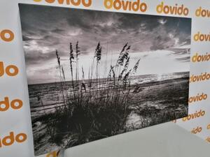 Obraz západ slunce na pláži v černobílém provedení - 120x80 cm
