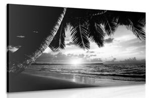 Obraz východ slunce na karibské pláži v černobílém provedení - 120x80 cm