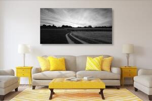 Obraz zapadající slunce nad krajinou v černobílém provedení - 100x50 cm