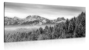 Obraz zamrzlé hory v černobílém provedení - 100x50 cm