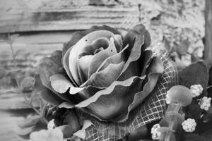 Obraz vintage růže v černobílém provedení - 60x40 cm