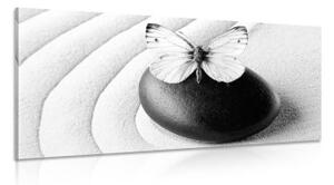 Obraz Zen kámen s motýlem v černobílém provedení - 100x50 cm