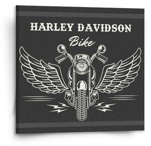 Sablio Obraz Harley-Davidson S křídly - 110x110 cm