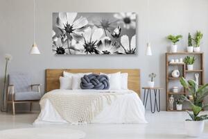Obraz zahradní květiny v černobílém provedení - 100x50 cm