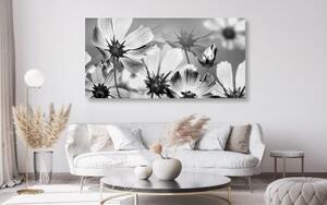 Obraz zahradní květiny v černobílém provedení - 100x50 cm