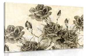 Obraz vintage kytice růží v sépiovém provedení - 60x40 cm