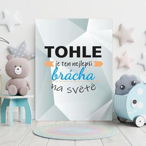 Sablio Dárková cedulka Tohle je ten nejlepší brácha na světě: 30x40 cm