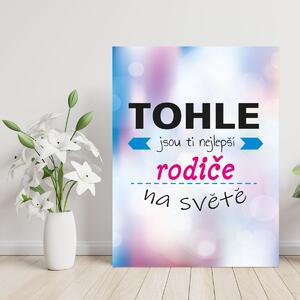 Sablio Dárková cedulka Tohle jsou ti nejlepší rodiče na světě: 30x40 cm