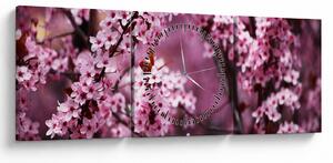 Obraz - Růžová sakura (s hodinami) (90x30 cm)