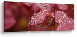Obraz - Makro snímek lístku (s hodinami) (90x30 cm)