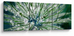 Obraz - Makro snímek květu (s hodinami) (90x30 cm)
