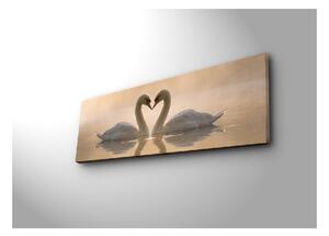 Obraz na plátně Swan Love, 90 x 30 cm