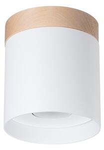 Sollux Lighting Stropní svítidlo RIF bílé
