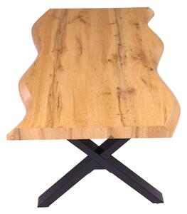 Konferenční stolek ELMER dub divoký/černá