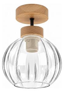 BRILAGI - LED Přisazený lustr RETRO GLASS 1xE27/60W/230V pr. 18 cm dub/čirá