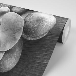 Fototapeta černobílá orchidej a kameny