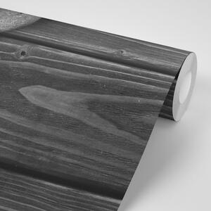 Fototapeta černobílé kameny na dřevě
