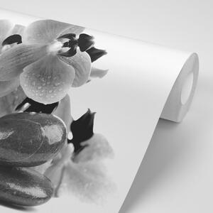 Fototapeta černobílé kameny a orchidej