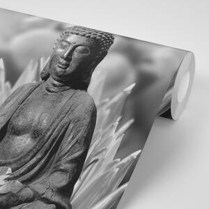 Fototapeta klidný černobílý Budha