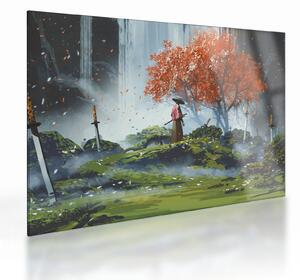 Skleněný obraz - Ilustrace zahrady mečů (70x50 cm)